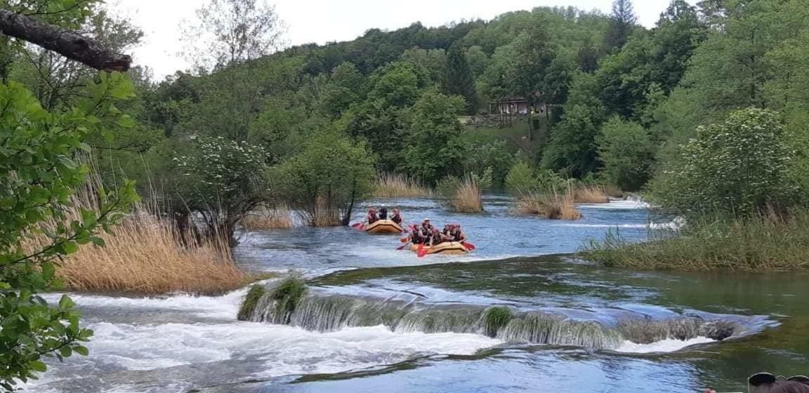 Apartman/Kuća za odmor Aleksandra Villa Karlovac Dış mekan fotoğraf